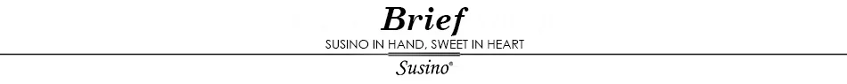 Brief
