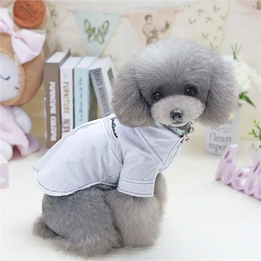 Новый Дизайн собака одежда милый на лето и весну платье для Cat щенок чихуахуа Йорки одежда Roupa Para Cachorro