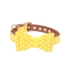 Yellow Bow Collar