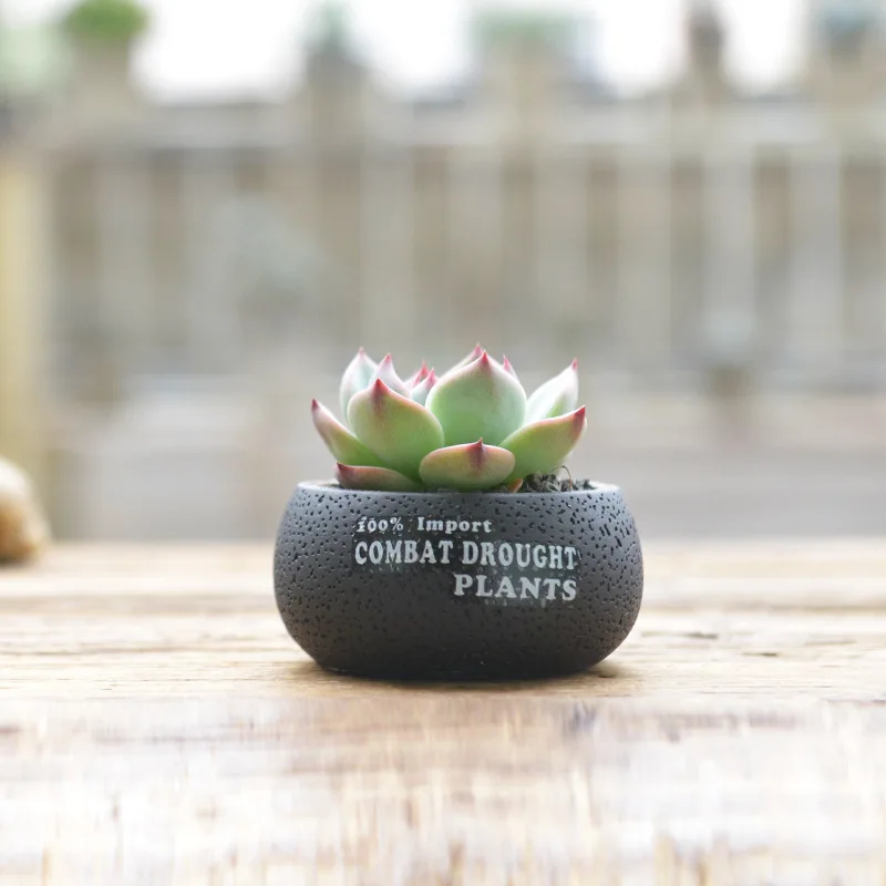 

5 Style Flowerpot Cement Concrete Succulent Planter Pots Tiny Flower Pots Vase For Home Garden Plant
