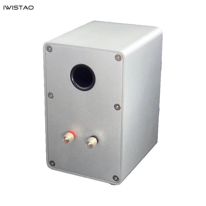 IWISTAO HIFI 2 сторонний 3 дюймовый динамик цельноалюминиевая 1 пара книжная полка