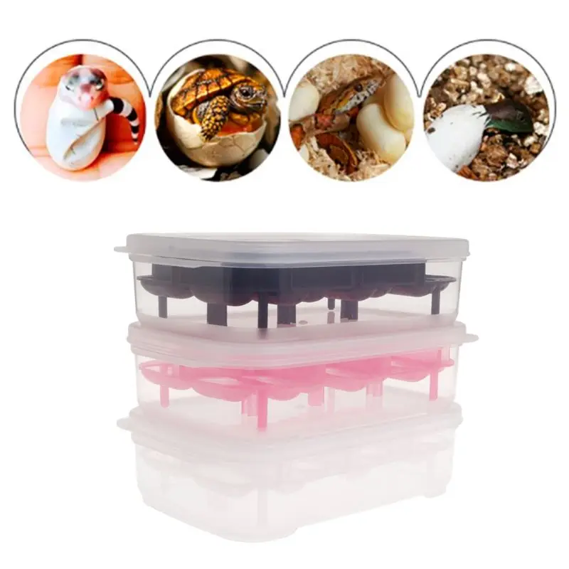 Reptile Egg Incubator 14 Slots Professional Transparent Cover For