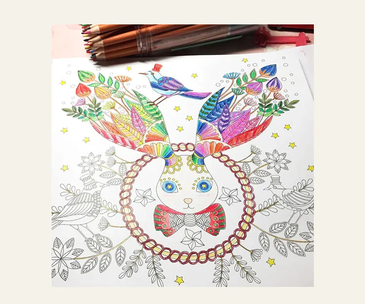 New Arrival Fashion Fantasy Dream Secret Garden Style Rabit Drawing Book Coloring Books For Adults Children Christmas Gifts In From Office School