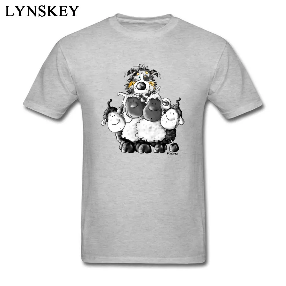 Australian Shepherd and sheep - Dog_grey