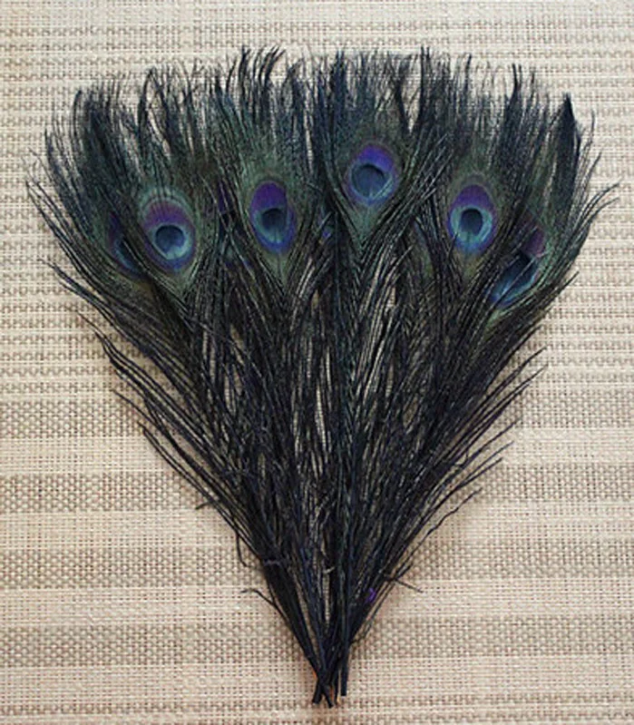 Manufacturers selling 50 PCS black peacock feathers 10 12 inches/ 25 30