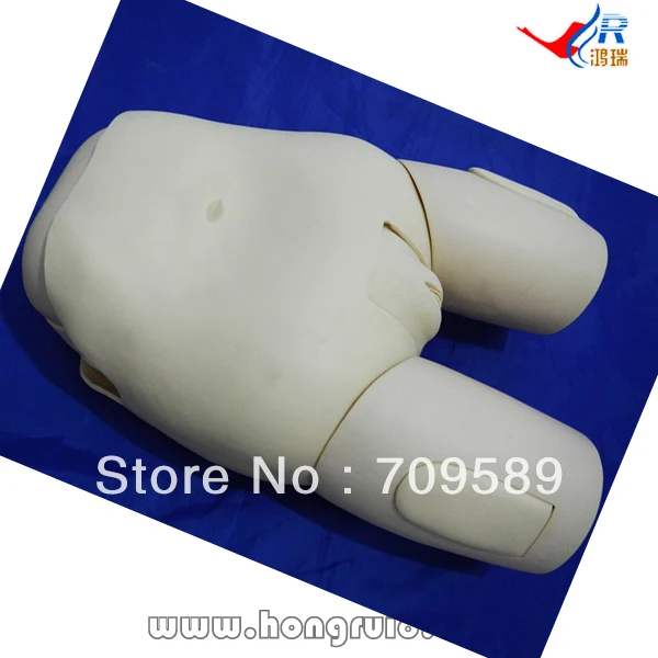 ISO Advanced Female Catheterization Model, Catheterization trainer
