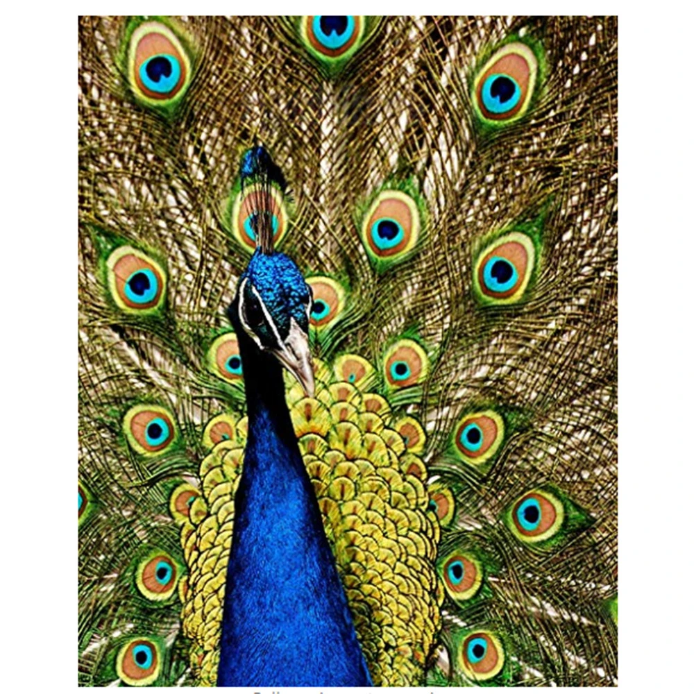 Peacock Feather Throw Blanket