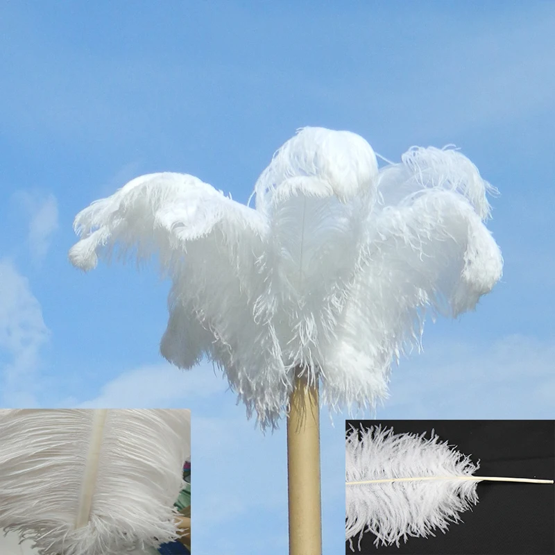 

2017 New! 100 pc snow white beautiful ostrich feathers, 65-70cm diy jewelry accessories, wedding decorations