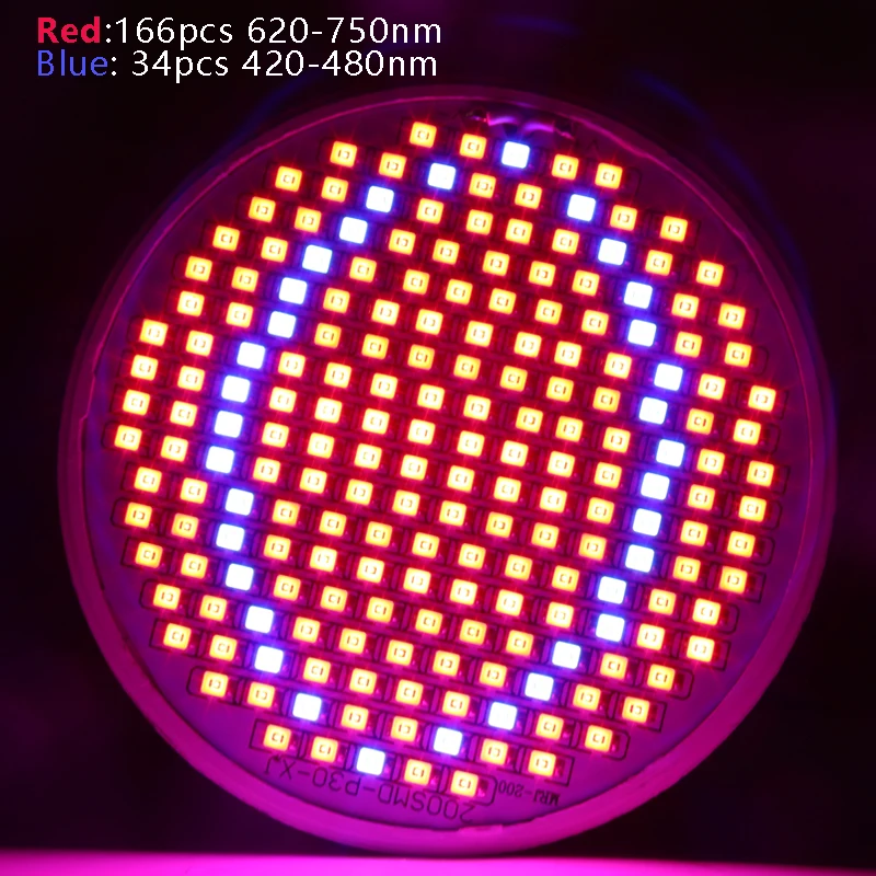 leds3