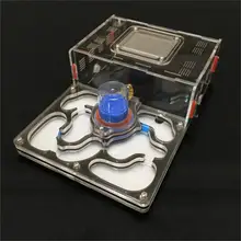 Размер L самолет дизайн 9 цветов муравьиная ферма акриловая влага с зоны кормления, насекомое муравей вилла домашнее животное продвинутый мания ферма муравьев