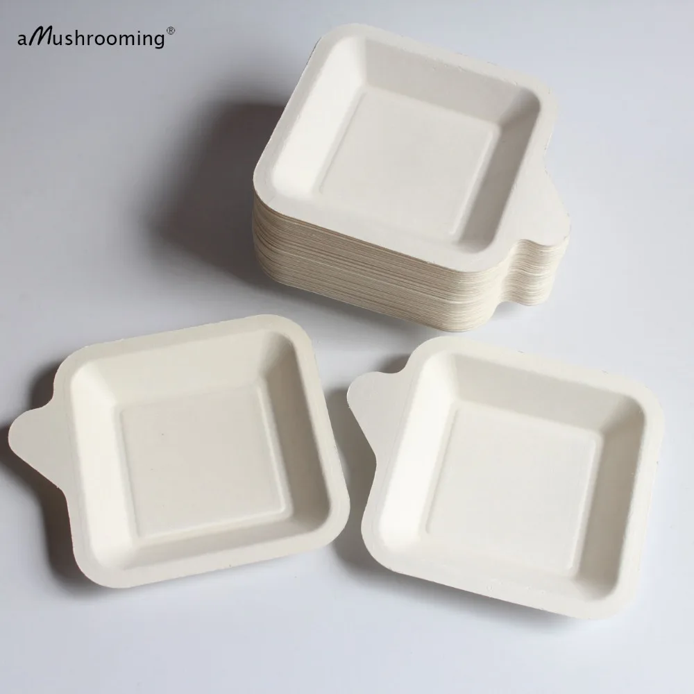 appetizer paper plates