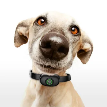 

Pet Dog Repellents Scientific Training Collar For Obedience Small Medium Large Dogs USB Automatic Training Collar For Puppy