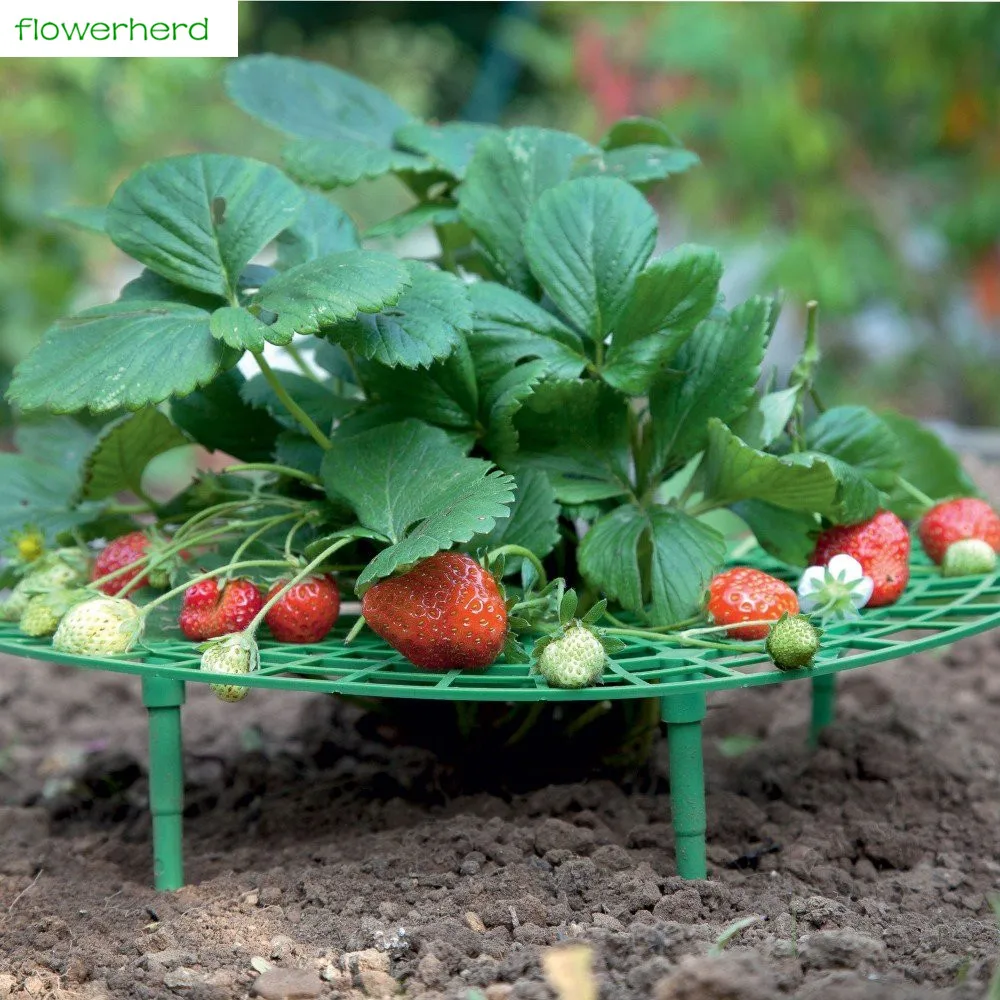 1pc 30*30cm Durable Handy Plant Support Anti-rot Strawberry Support Garden Tool 