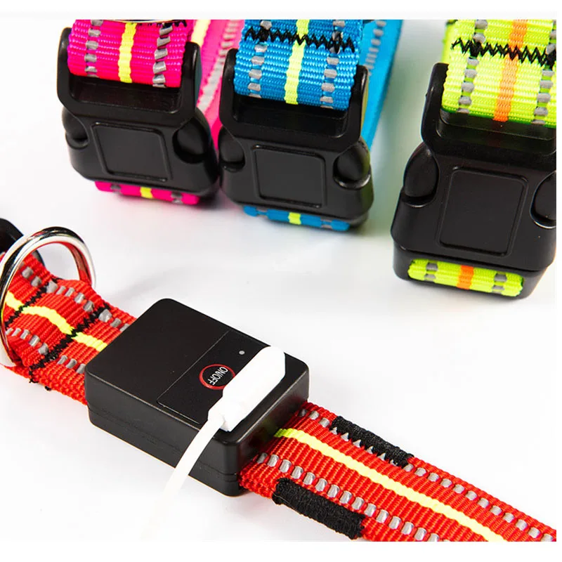 Dog Collar Luminous (2)
