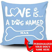 36020170418173731455