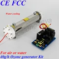 Pinuslongaeva 40 gr/std 40 gramm Verbinden PLC ORP controller 4 20mA 0 10 v 0 5 v einstellbar ozon generator ozon generator ersatzteile|Luftreiniger| -