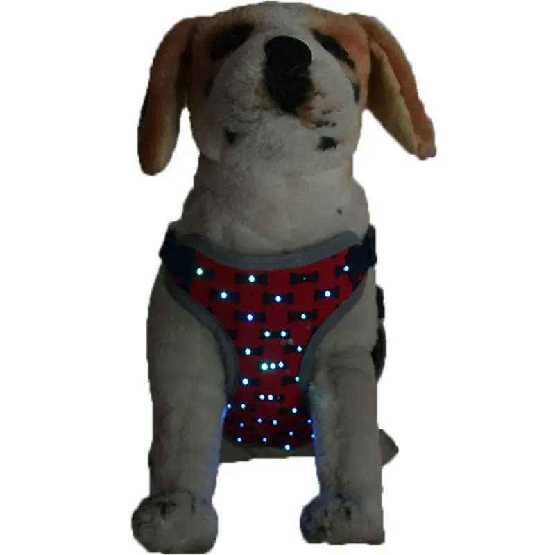 chest-dog