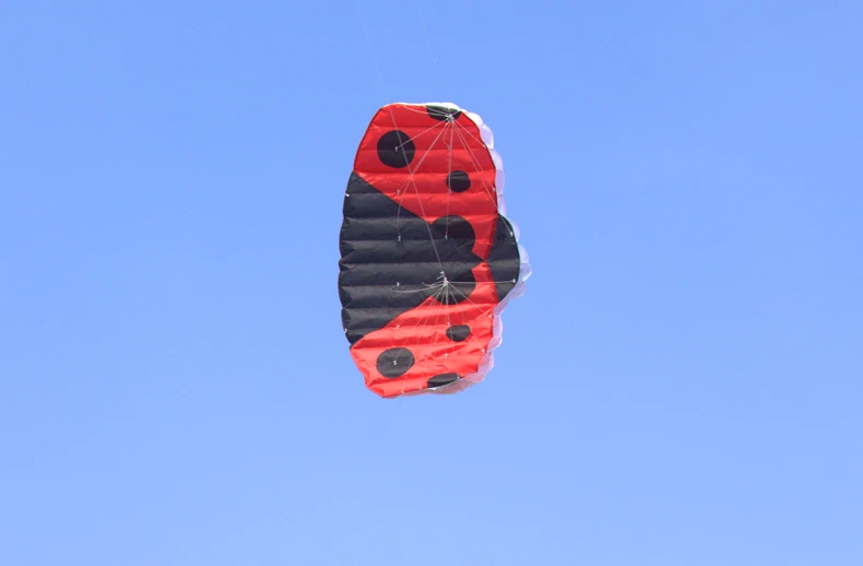 Новый высокое качество 1,4 м Божья коровка Dual Line Parafoil парашютом воздушных змеев спортивные пляжные с кайт ручкой и строка Легко Fly