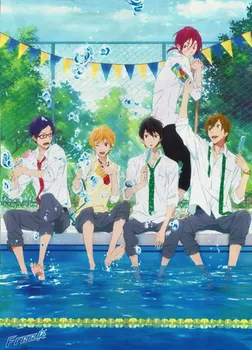 

Decoration Free! Iwatobi Swim Club Anime Characters 57*41CM Wall Scroll Poster #36565