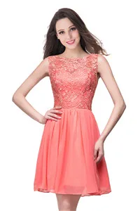 Дешевая цена линия Кружева тюлевый корсет юбка красное короткое платье для Школьного бала Вечерние платье для выпускного вечера De Formatura - Цвет: Watermelon Pink