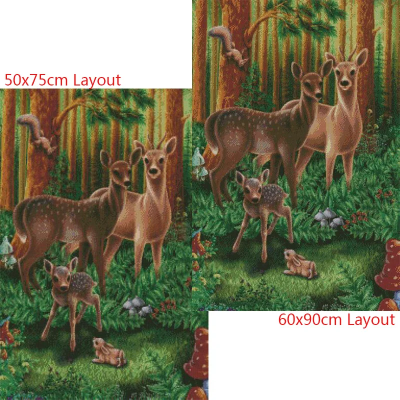 DS260  20x30(2)