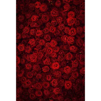 

S-3171 Luxury Red Rose Flower Wall Baby Newborn Child Photo Background