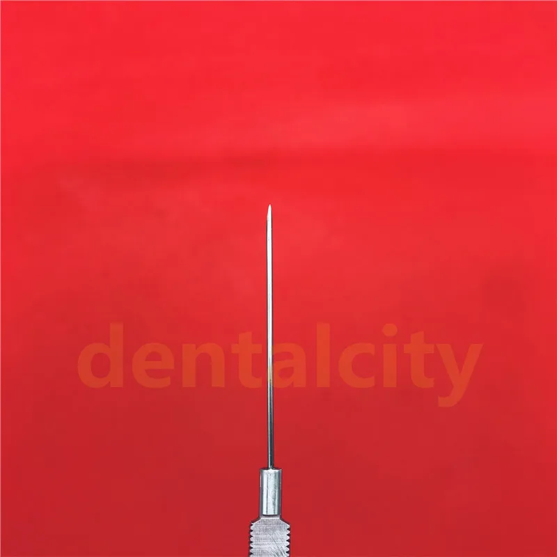 IMG_7498(20190318-100028)