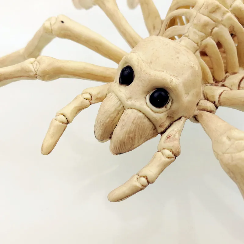 buy Scary Realistic Spider Bone Skull Web Creative Novelty Toy Model Frightening Realistic Model Decorating Halloween Gift Scary