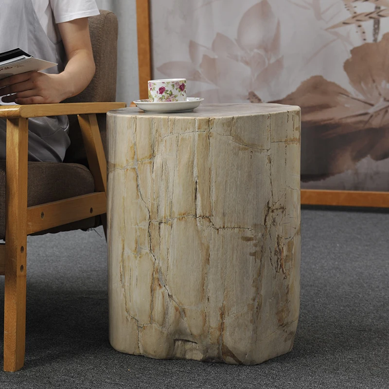 Black And Tan Polished Natural Petrified Wood Stool End Table Side