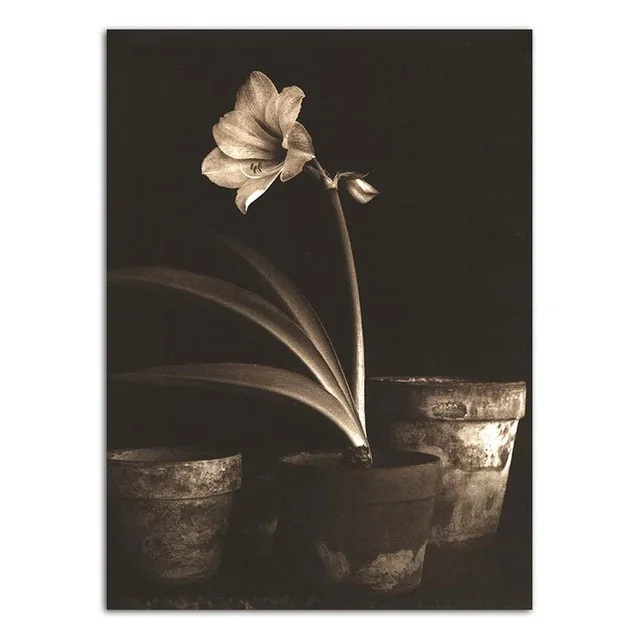 Home-Decoration-Wall-Art-Poster-Nordic-Print-Canvas-Paintings-Picture-Black-background-white-and-gold-flowers.jpg_640x640