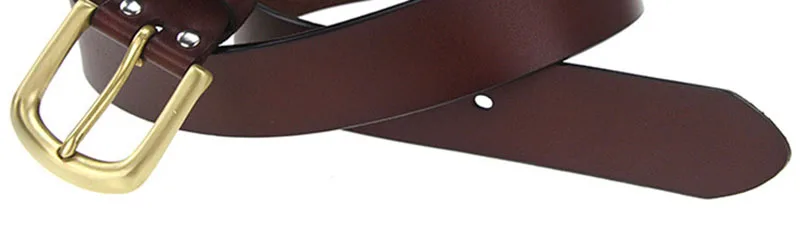 N17FJ529 (15)