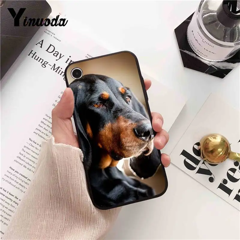 Dachshund Doberman Dog face