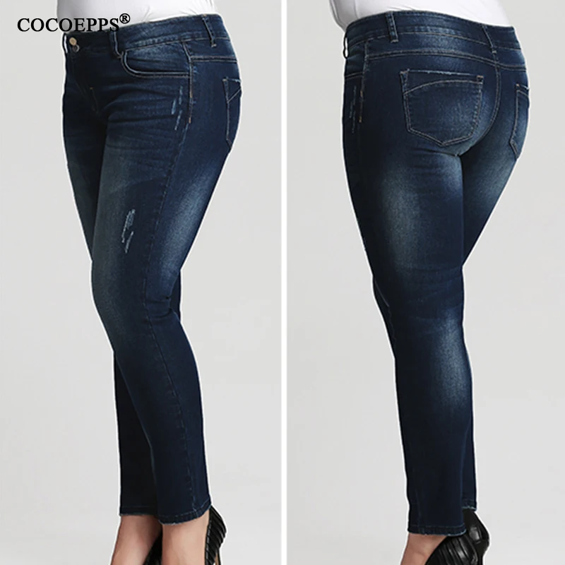 COCOEPPS12