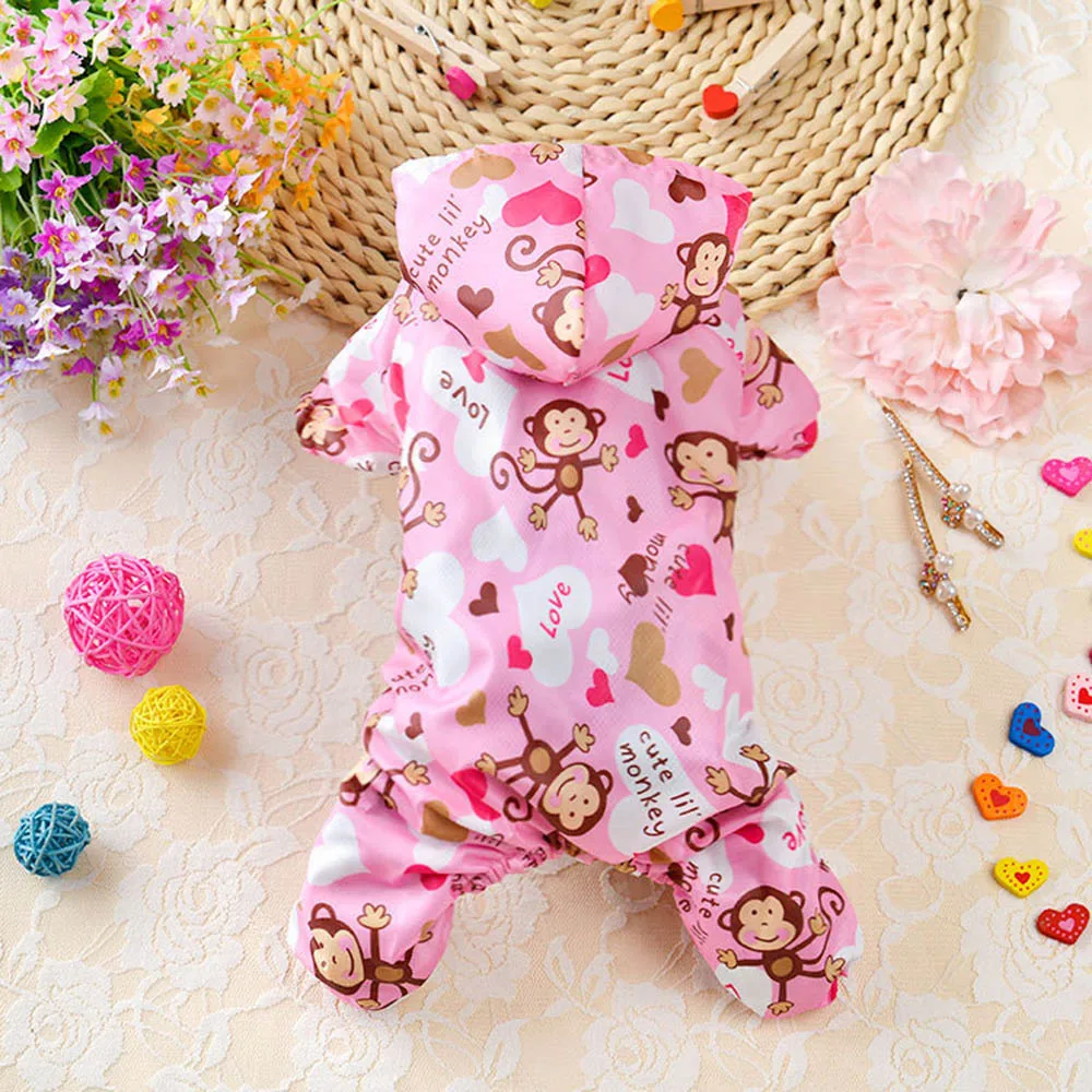 10902797464_1368698927