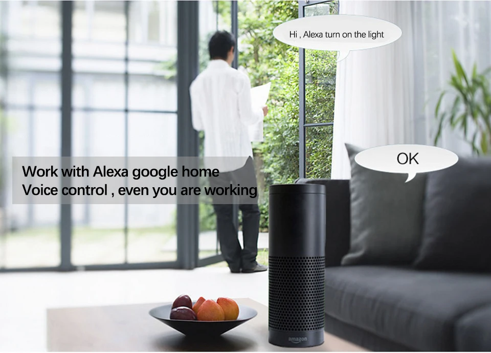 voice contrl