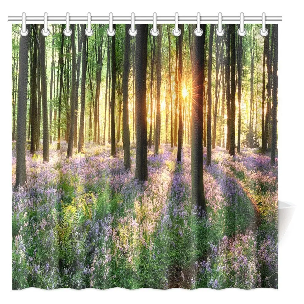 Landscape Decorations Collection, Sunset Forest Autumn Scene with
