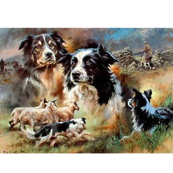 

Diy kits 5d diy diamond embroidery Animal, border collie DIY Diamond Painting 3D Embroidery Cross Stitch Mosaic Decor paintings