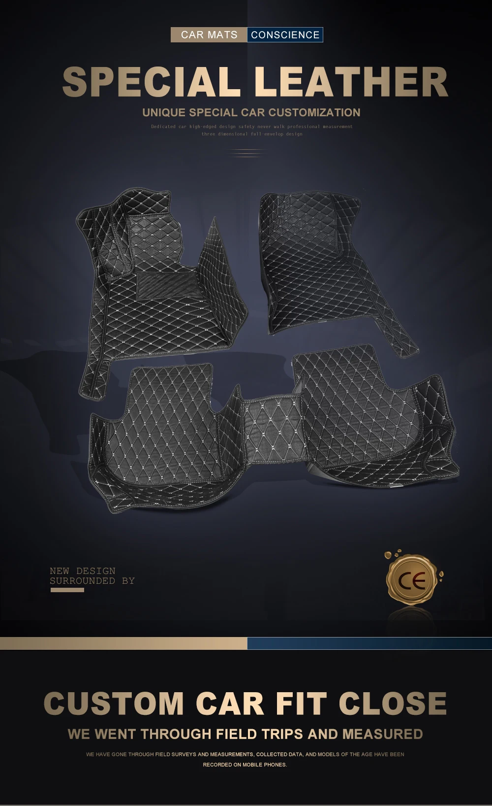 car floor mat (1)
