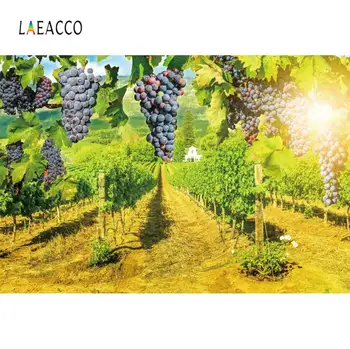 

Laeacco Vineyard Rural Farm Sunshine Wedding Bathroom Kitchen Photography Backdrops Photographic Backgrounds For Photo Studio