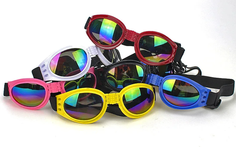 7480825256_817409337