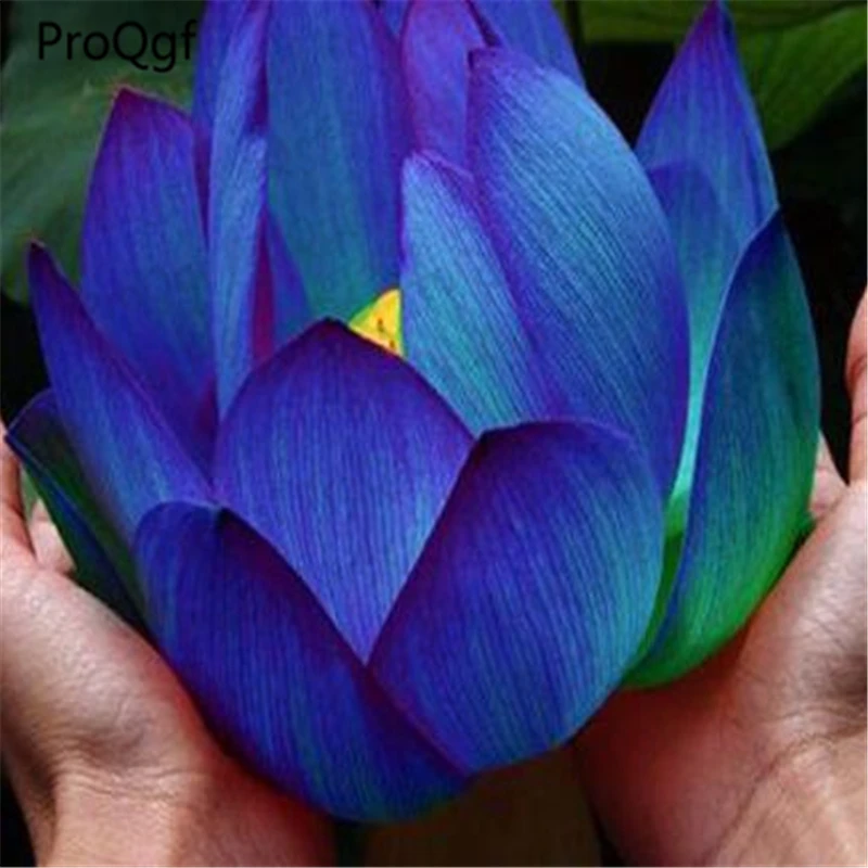

100Pcs A Set Colorful
