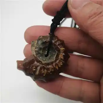 

Natural stone fossil pendant pendulum Spot color screw Jurassic snail pendants Green twine chakra pendule suspension