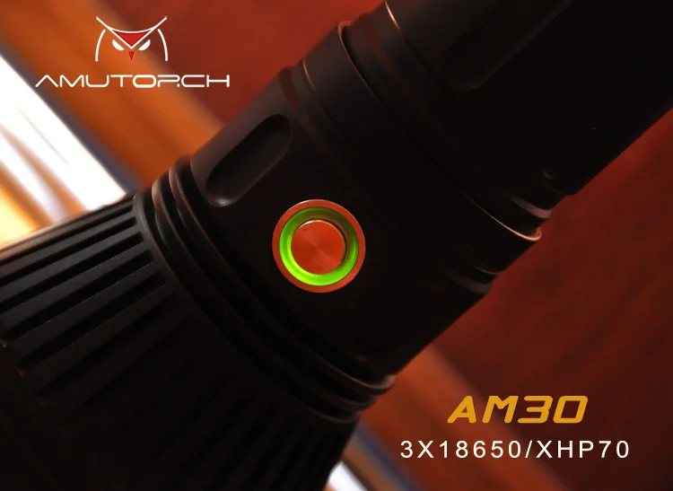 AM3011