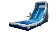 

Inflatable water slide,Shark inflatable water slide with Blower , Happy summer toys for children