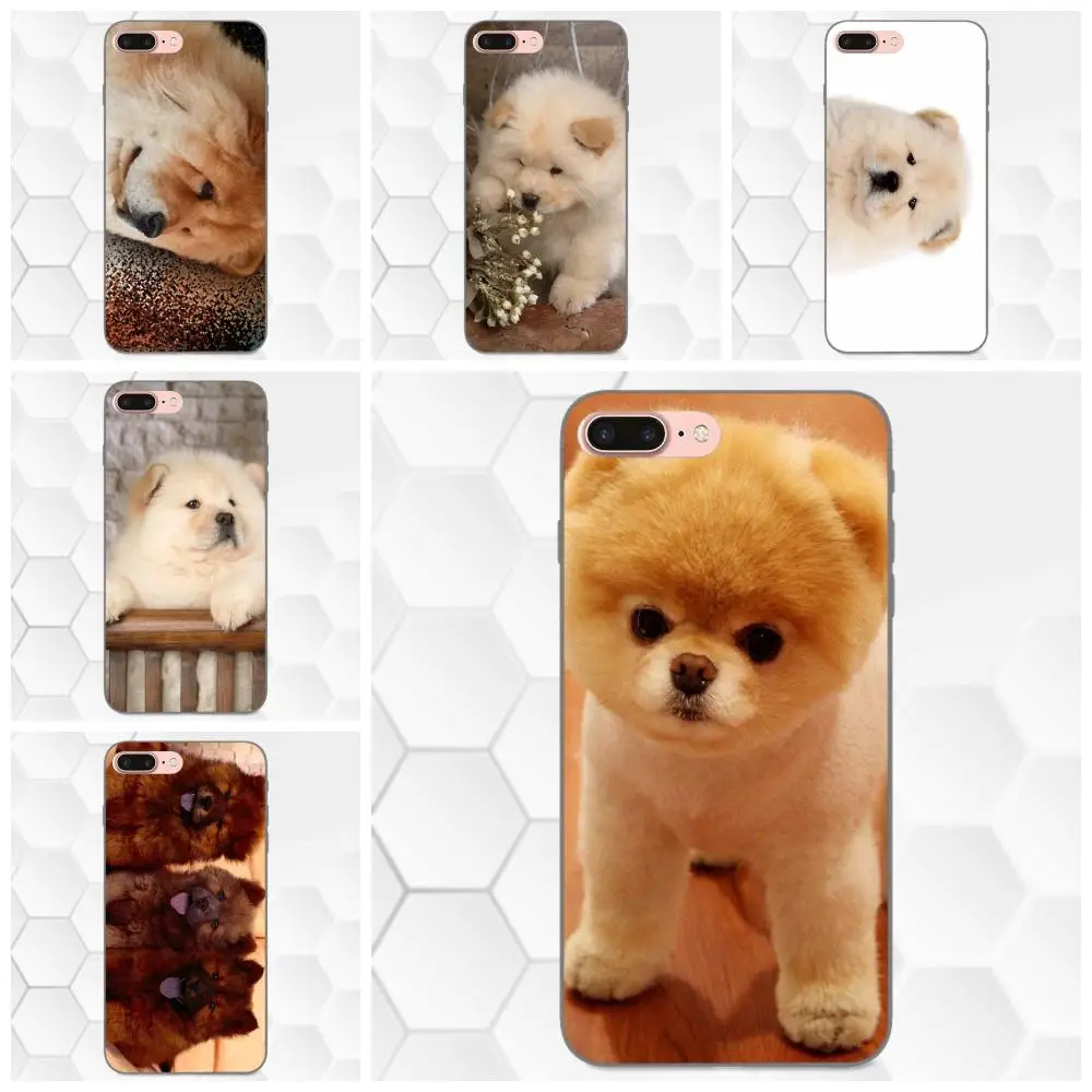 Мягкие Защитные чехлы для телефонов с изображением щенков Chow Apple iPhone X XS Max XR 4