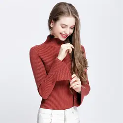 2018 Осень Зима трикотажные для женщин свитеры для и пуловеры Высокий воротник с длинным рукавом сплошной тонкий
