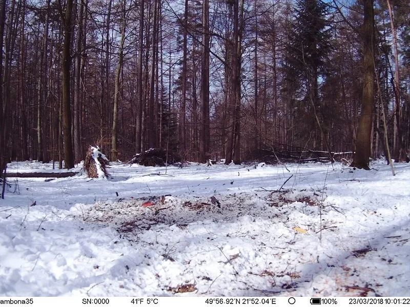 Охотничья камера, gps, 4G, скаут, охранник, ночное видение, охотник, камера, Chasse, инфракрасная игра, дикая тропа, ловушки, Камара де Каза, Chasse