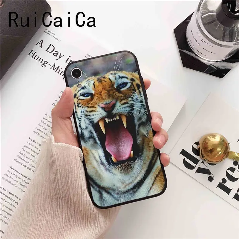 tiger fashion