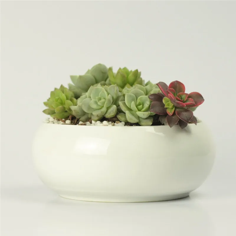 

Simple white ceramic creative fleshy round cylinder shaped closing flowerpot Zakka pot factory direct supply wholesale