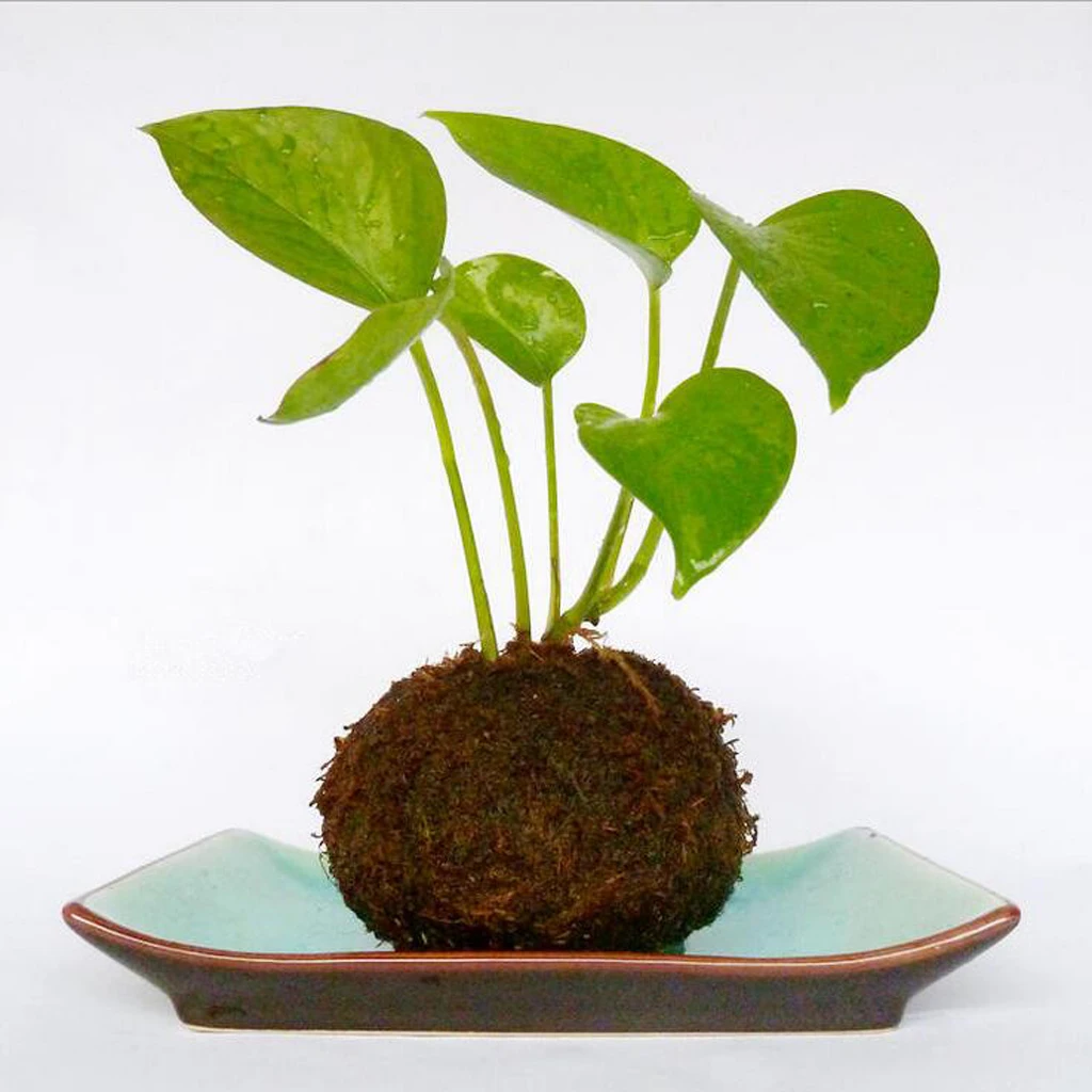 2x Moss Ball Moss Bonsai Personalized Flower Pot Bird Nest Flower Plant Desk Table Decoration Plantpot diameter 6/9cm